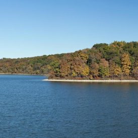 A Tent, A Fishing Pole and My Camera